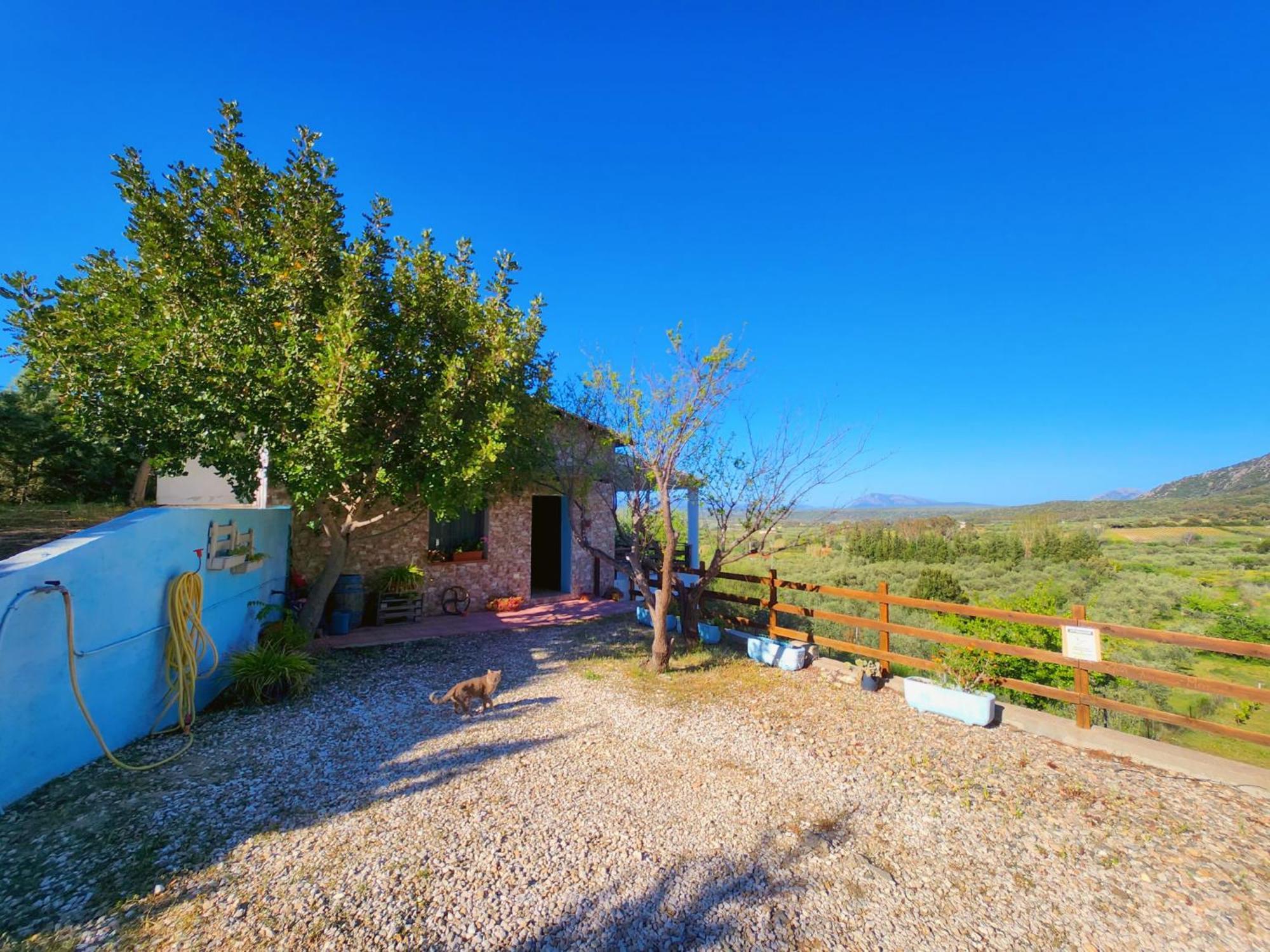 Panoramic House Villa Oliena Luaran gambar